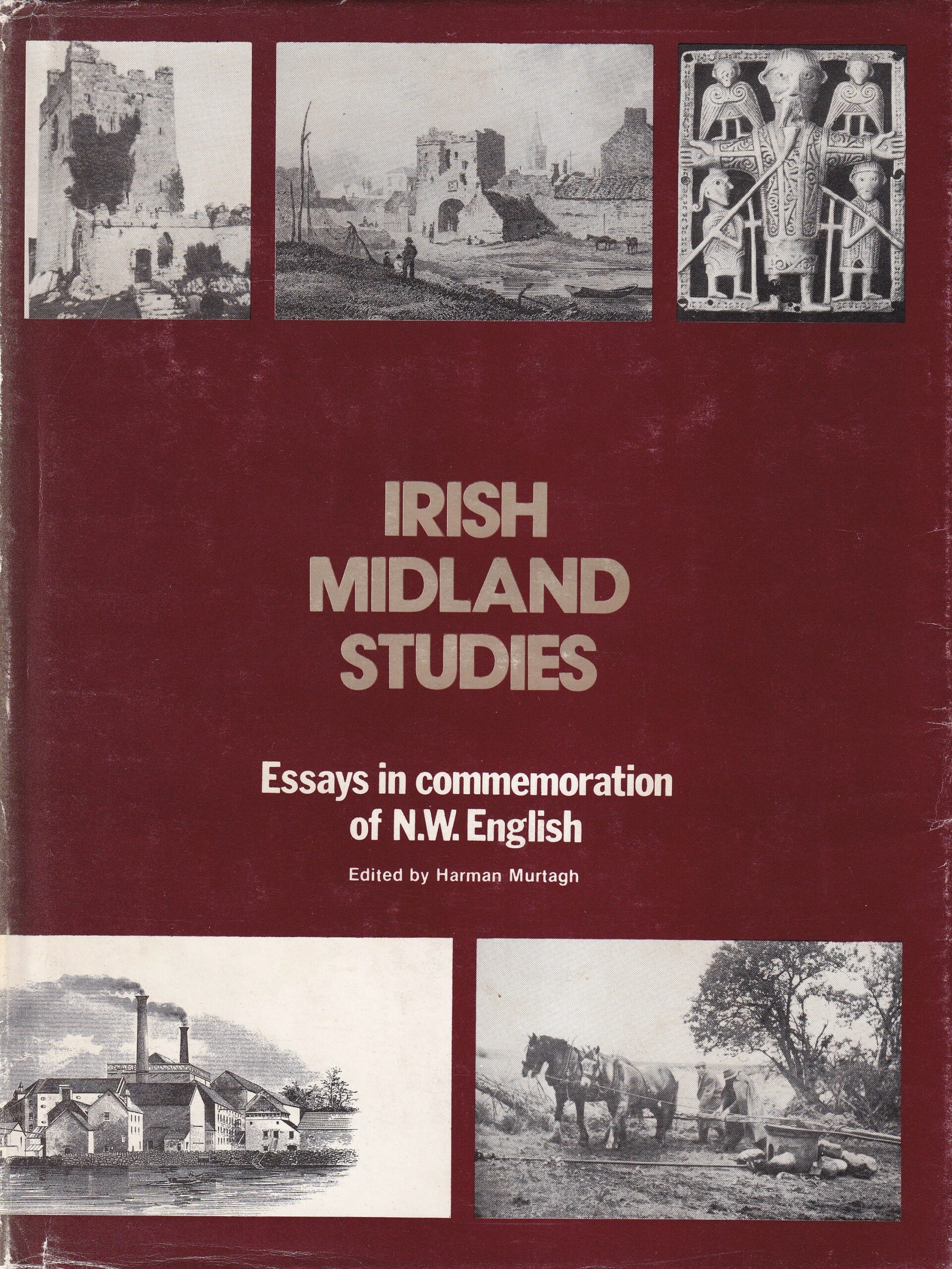 Irish Midlands Studies: Essays in Commemoration of N.W. English by Harman Murtagh (ed.)