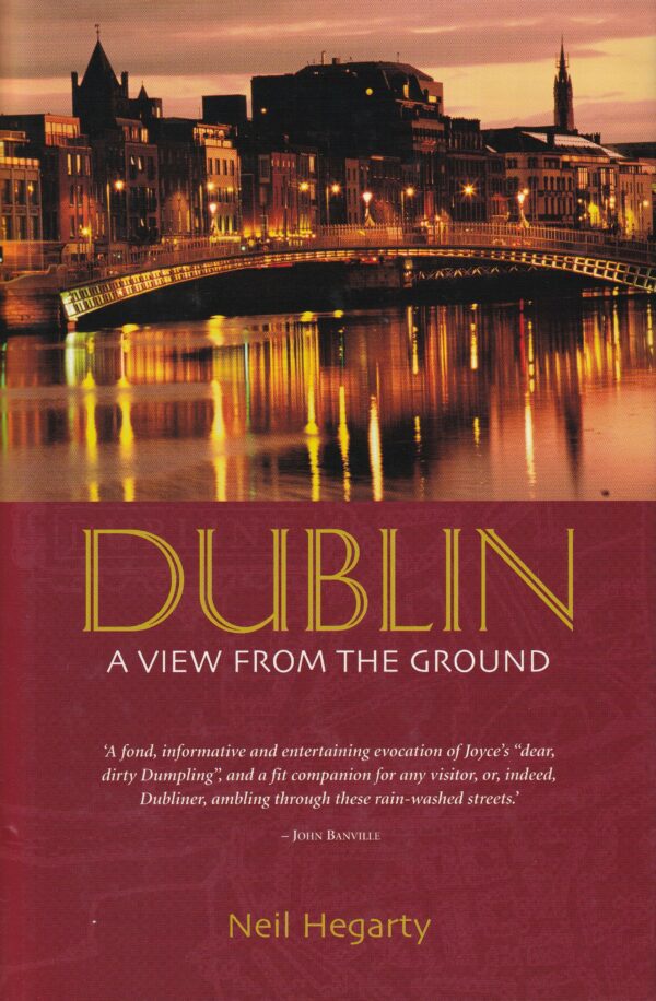 Dublin: A View from the Ground