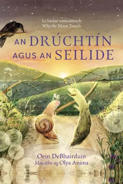 An Druchtín agus An Seilide by Oein DeBhairduin
