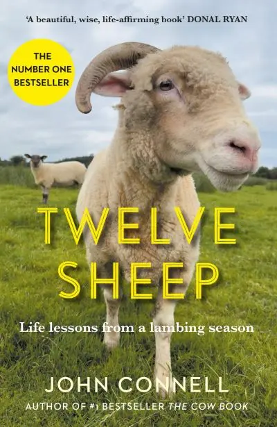 Twelve Sheep | John Connell | Charlie Byrne's